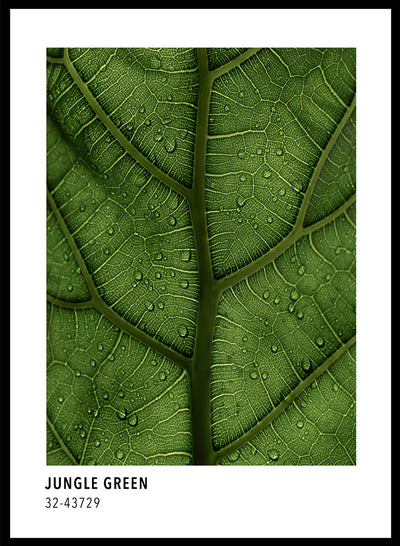 Sugar & Canvas 8x10 inches/20x25cm Jungle Green Color Card Art Print