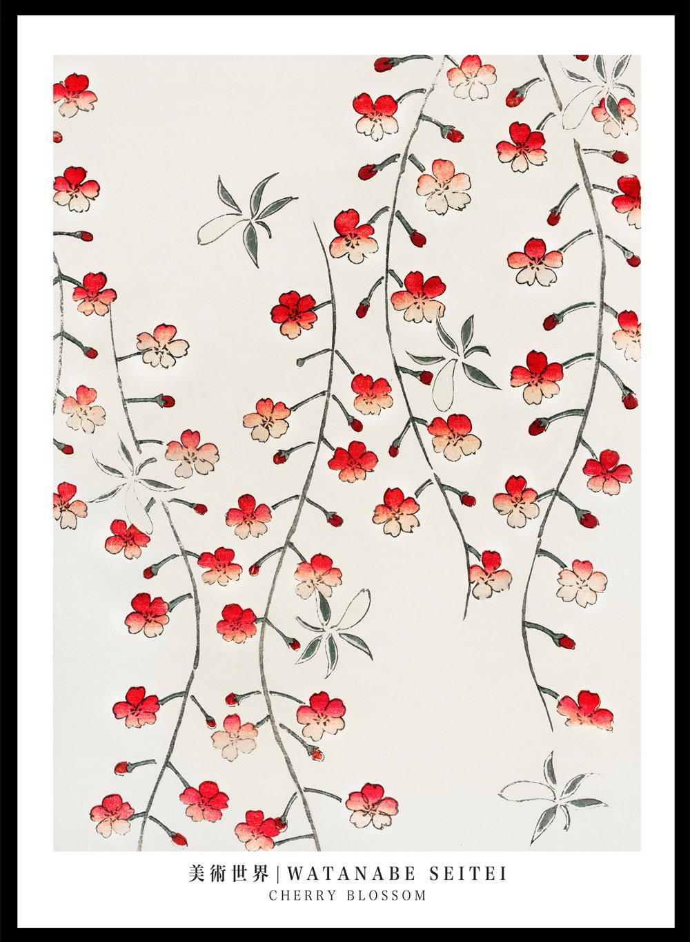Watanabe Seitei Cherry Blossom Art Print_Sugar & Canvas