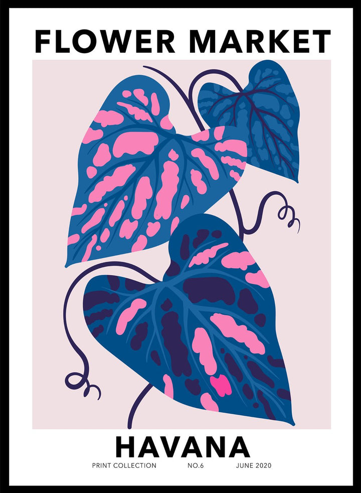 Flower Market Havana Art Print_Sugar & Canvas