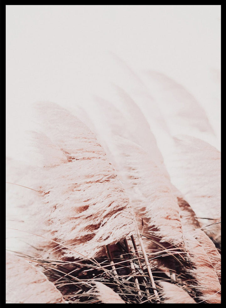 Field of Pampas Grass Print_Sugar & Canvas