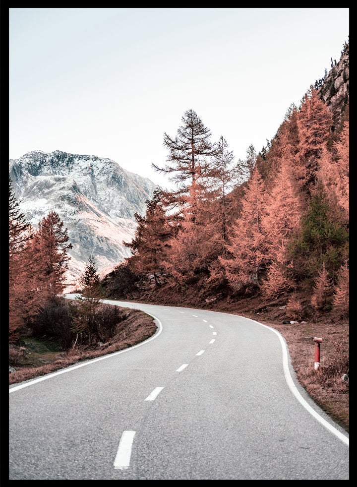 Autumn Highway Art Print_Sugar & Canvas