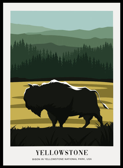 Sugar & Canvas 8x10 inches/20x25cm Bison in Yellowstone National Park Art Print
