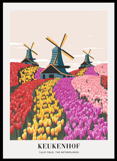 Sugar & Canvas 8x10 inches/20x25cm Tulip Field in Keukenhof Gardens, The Netherlands Art Print